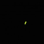 IMG_5856