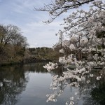 IMG_8829