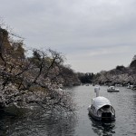 IMG_8832