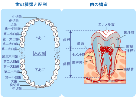 kouzou_meishou